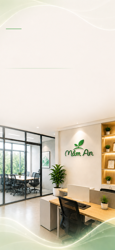 Văn phòng Mầm An — An từ gốc, khỏe từ mầm